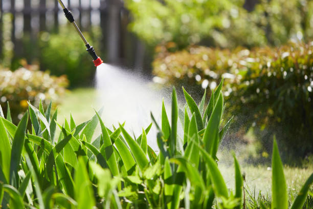 24/7 Emergency Cockroach Control experts in Landen, OH