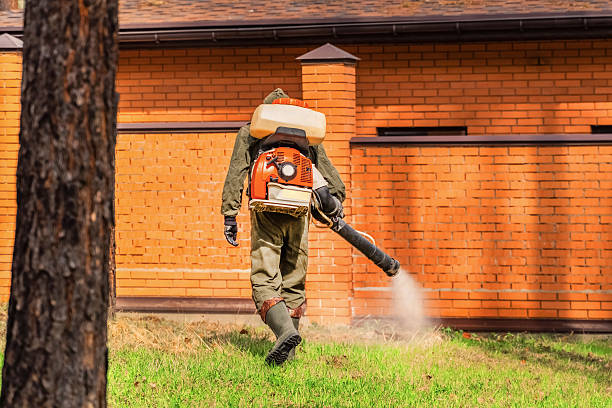 Trusted Bed Bug Control service in Landen, OH - Nex Pest Control
